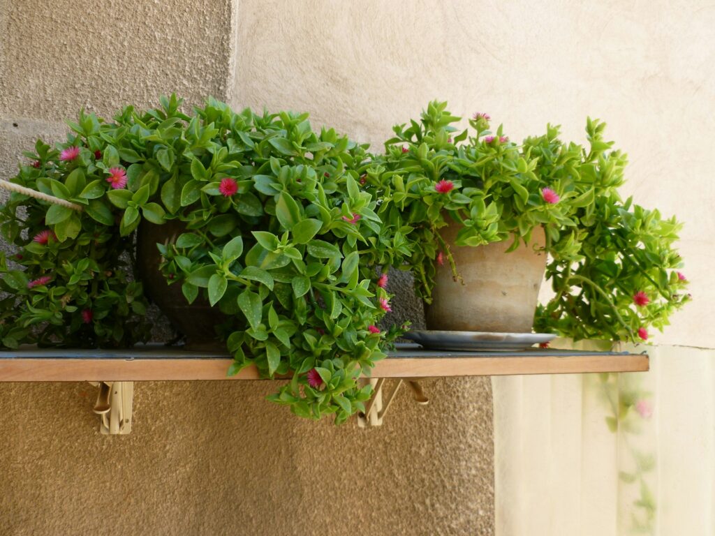 Elham Hamvard Fo2wGgurkRs Unsplash 1024x768