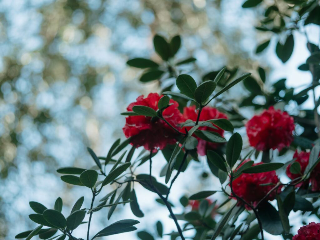 Annie Spratt Uy6S0BZp41I Unsplash 1024x768