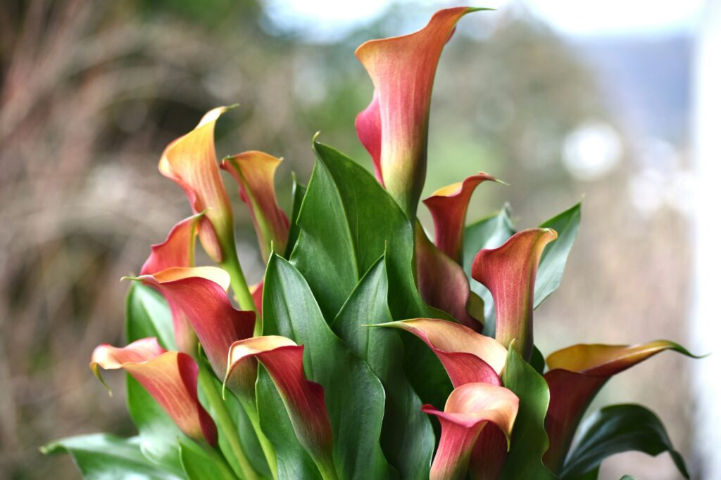 Daniele La Rosa Messina DxiqR7RucCI Unsplash 1024x683