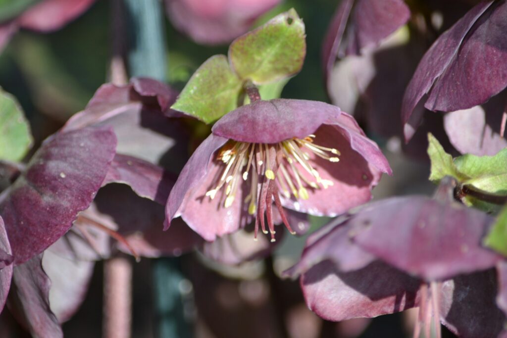 Linda Buscop Qr CLRgq BY Unsplash 1024x683