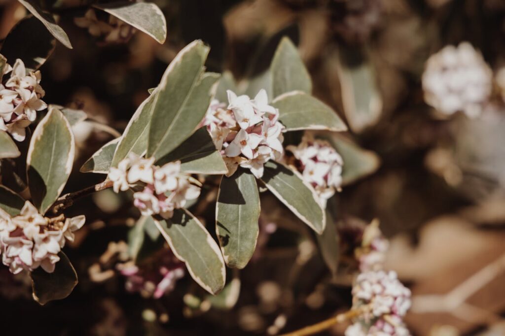 Pexels Roman Odintsov 7540084 1024x682