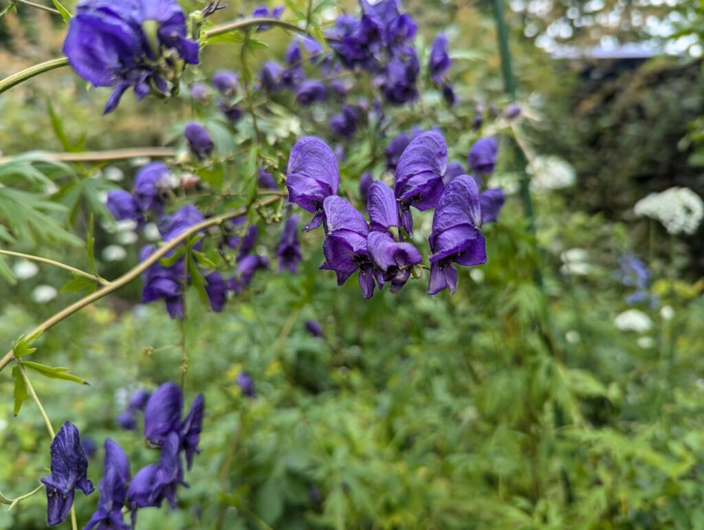 T R 3YhcAolrlyI Unsplash 1024x771