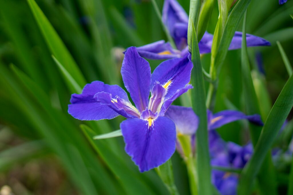 Zhao Yangjun JQop2Tp7Pek Unsplash 1024x683